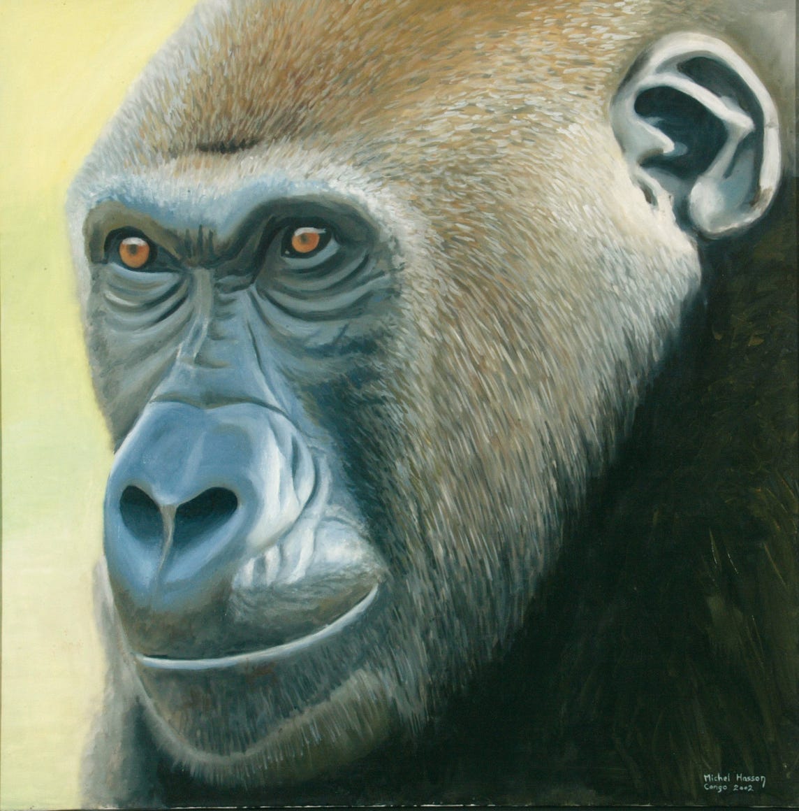 Gorille Congo tableau par Michel Hasson