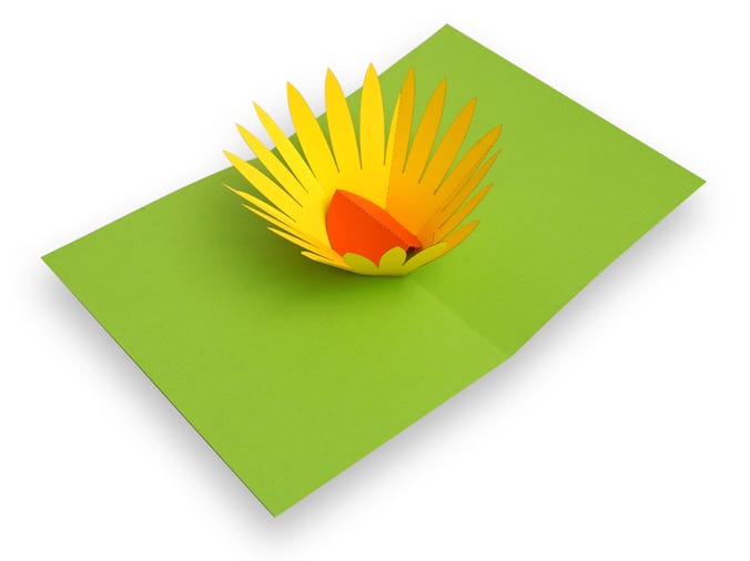 carte pop-up fleur