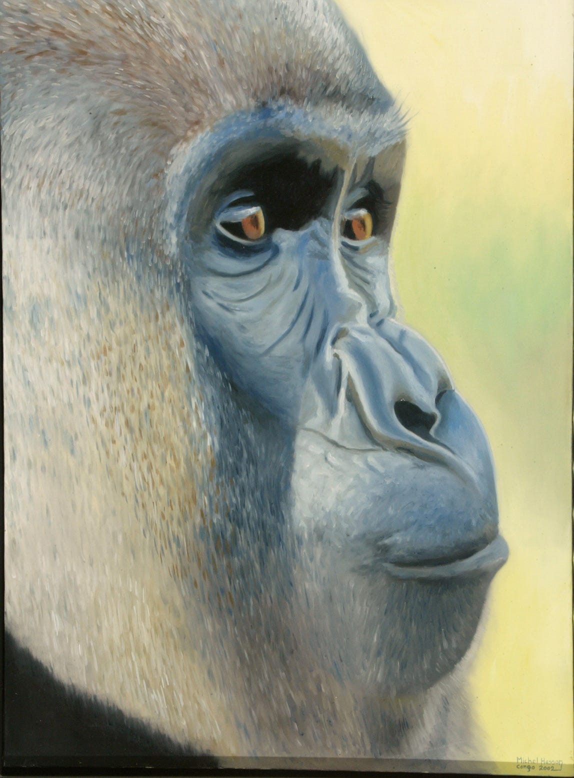 Gorille Congo tableau par Michel Hasson