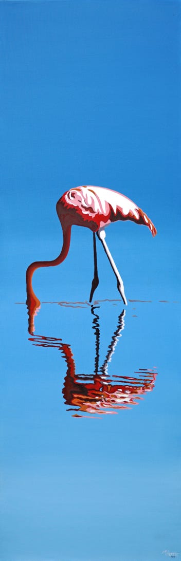 flamand rose